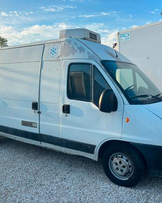 FIAT DUCATO 2.3 110 CV ISOTERMICO FRIGORIFERO L2H2