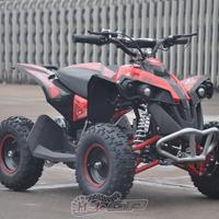 Quad elettrico mini lion 1000w