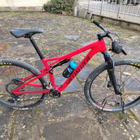 specialized epic