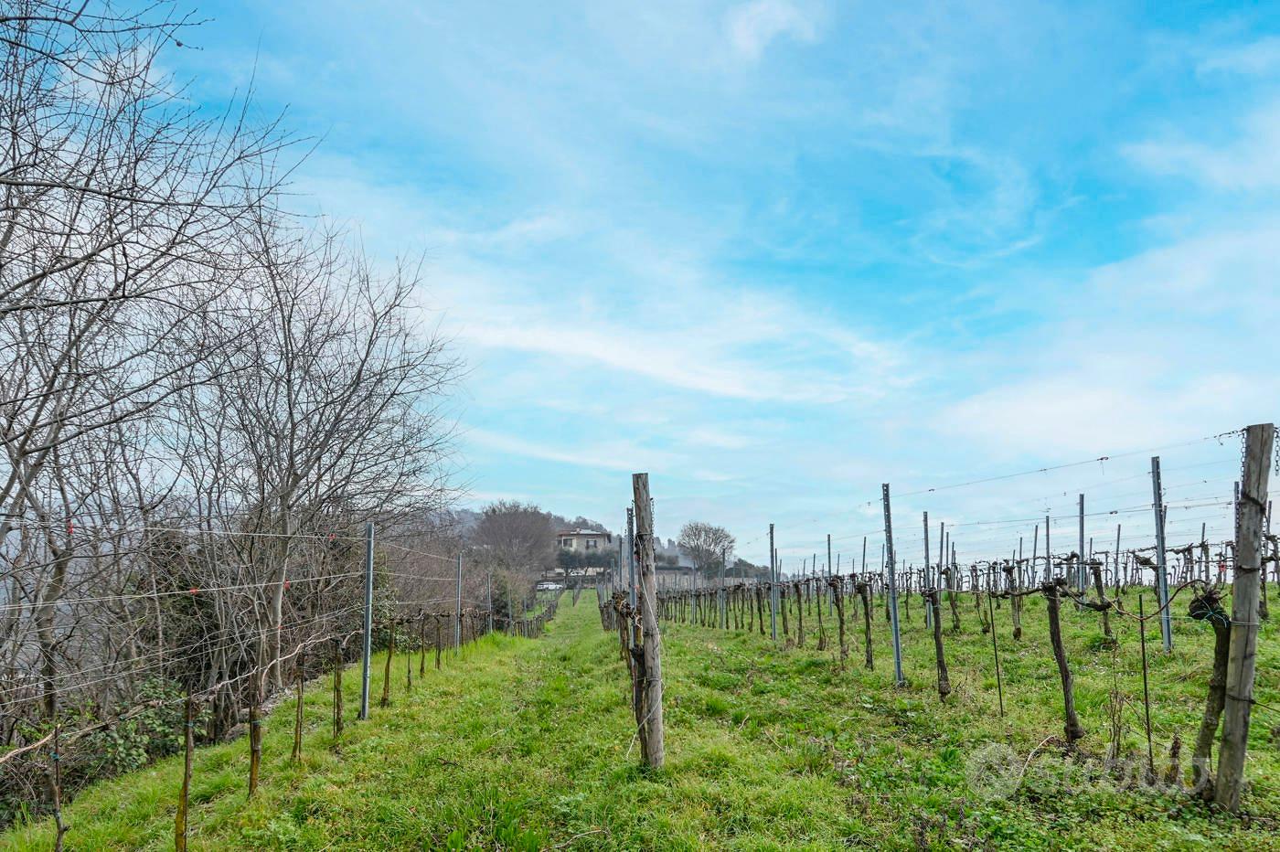 Terreno Agricolo Chiuduno [Cod. rif 3300105VCG] - Altro