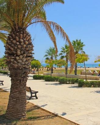 Appartamento spiaggia libera Pietrenere