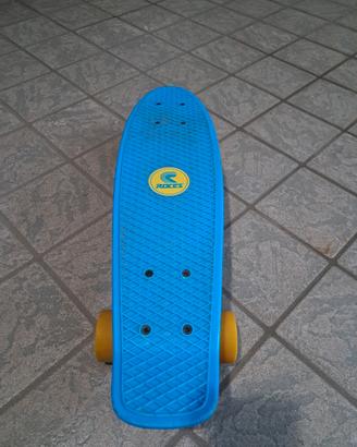 Skateboard Roces