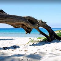 Appartamento vicino a spiaggia per 6/7 persone