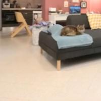 Castiglione della Pescaia 160 metri dal mare