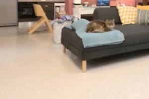 Castiglione della Pescaia 160 metri dal mare