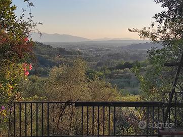 Terreno panoramico con possibilità di edificare