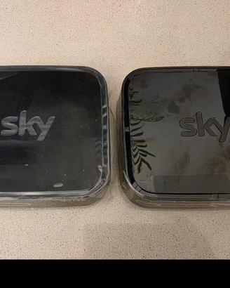 Coppia adattatori Wi-Fi Sky Pace DAZ100S