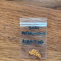 Peperoncino Albachiara