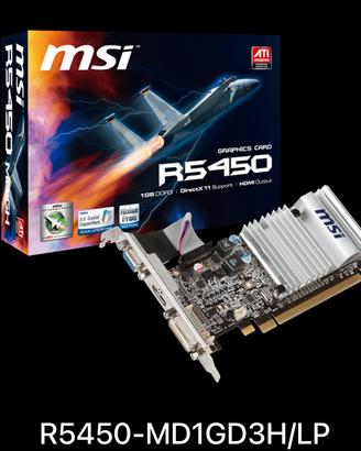 MSI AMD Radeon HD 5450 scheda grafica video