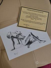 Disegno donna