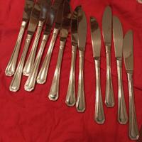 12 coltelli acciaio inox 