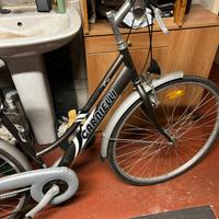 Bici da donna 28 pollici