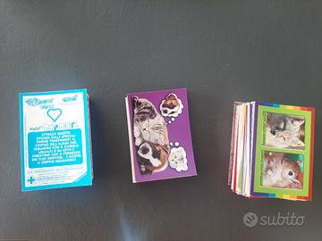 lotto amici cucciolotti 2015 pizzardi