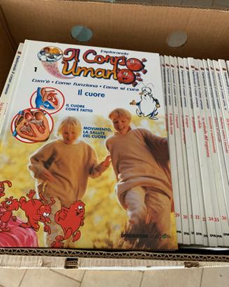 Esplorando il corpo umano