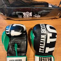 Guantoni Boxe loene 14 oz