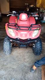 Quad 250 artik Kat