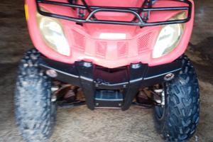 Quad 250 artik Kat