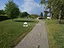 Immagine 18
