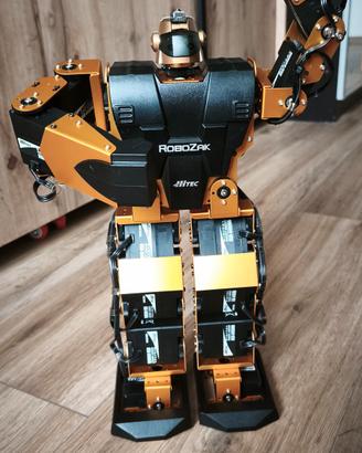 RoboZak Deagostini 2007