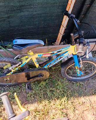 Bici da bambino