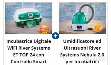 Incubatrice Ryver sistem 24 Top + umidificatore