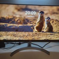 Monitor multimediale LG 24" FullHD