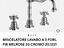 Immagine 5