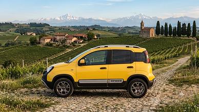Fiat Panda Cross 4x4 1.3 MJT 95cv Euro 6