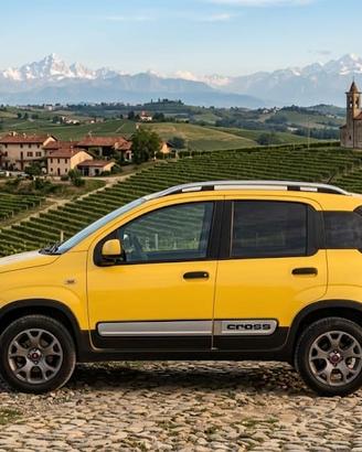 Fiat Panda Cross 4x4 1.3 MJT 95cv Euro 6