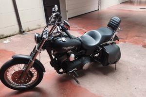 Harley Davidson street bob 