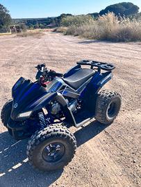Ztech coyote 125 quad