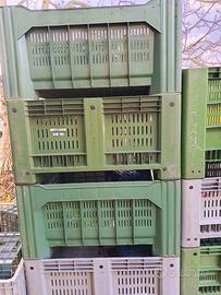 bins plastica grandi n 30