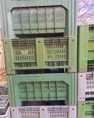 bins plastica grandi n 30