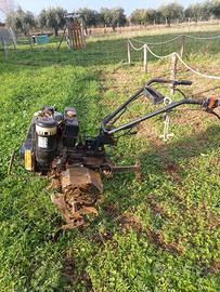 motozappa diesel lombardini