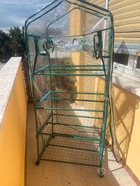 serra per piante come da foto