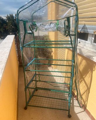 serra per piante come da foto