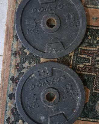 Dischi in ghisa 5 e 10kg
