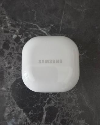 Auricolari e Cover 