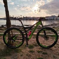 cannondale scalpel team 