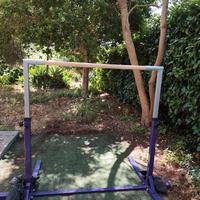 Parallela ginnastica artistica