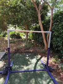 Parallela ginnastica artistica