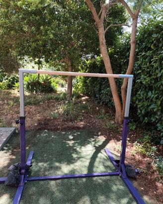Parallela ginnastica artistica