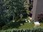 Immagine 8