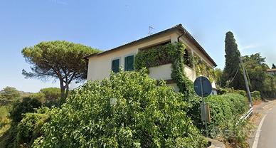 Villa singola Roma [FNC163VRG] (Fontana Candida)