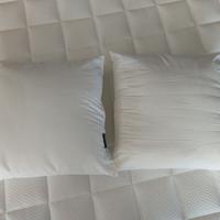 2 cuscini decorativi in microfibra bianca 40x40