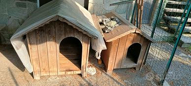 cuccia cane