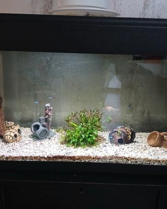 Acquario 90 litri con mobiletto