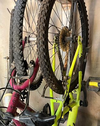 2 biciclette