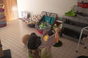 Cessione attività ben avviata/ si affitta locale