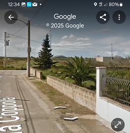 Terreno recintato